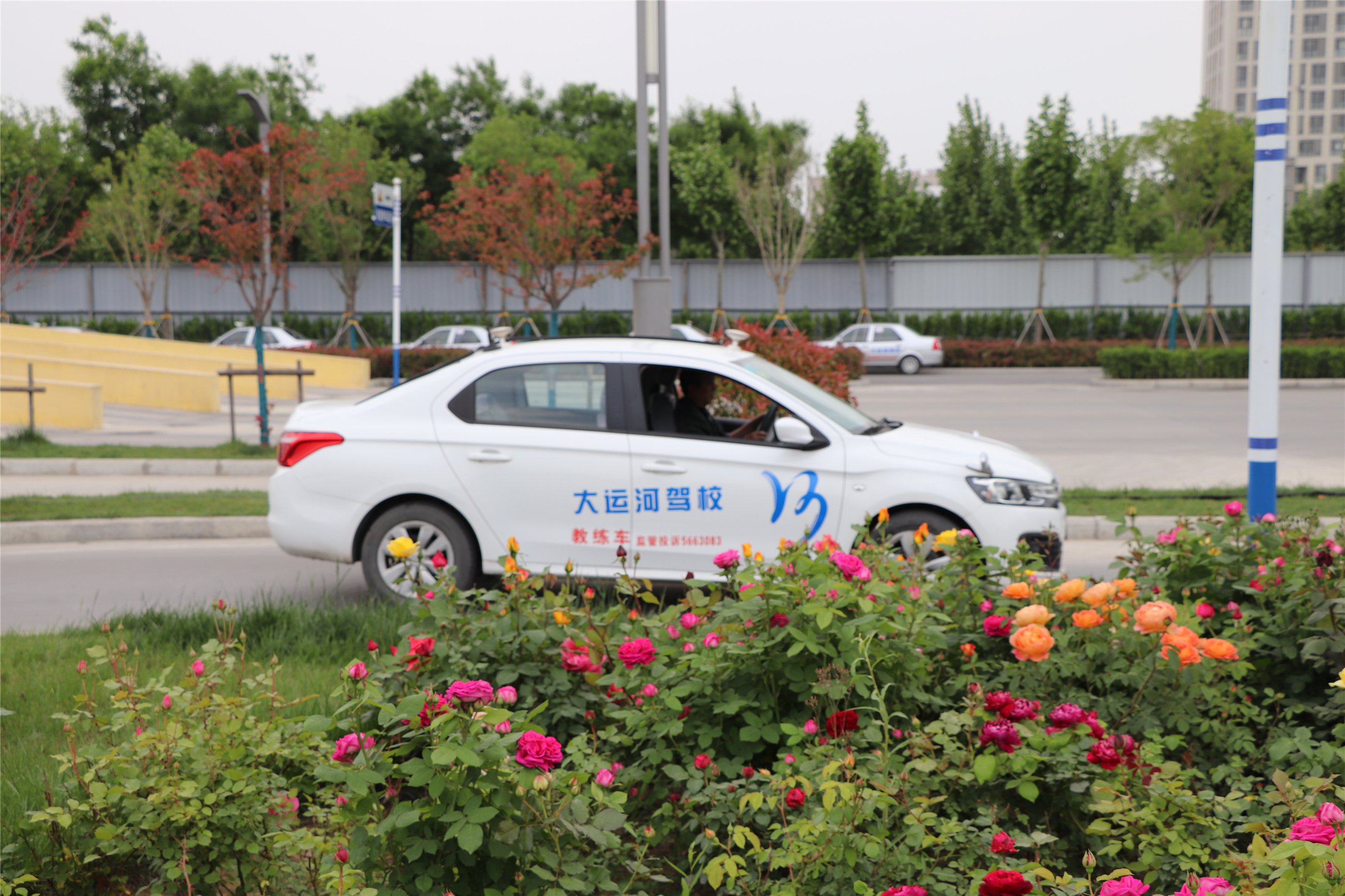 第八屆學車夏令營火爆開啟！讓利這個夏天！(圖3)