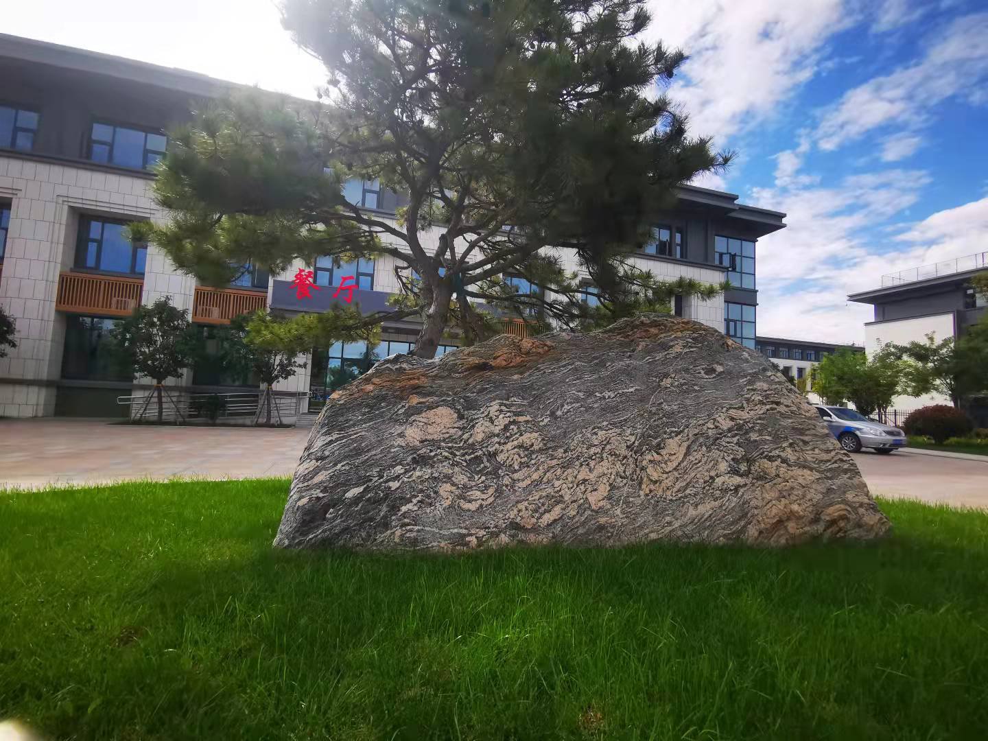 【濟寧大運河駕?！堪碌南掠晏撞?，今天終于出太陽啦！(圖2)